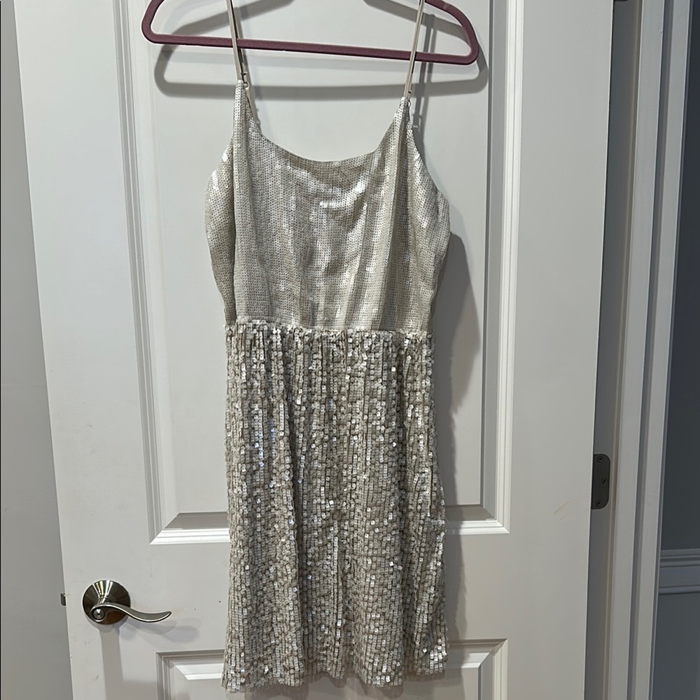 Silver Sequin Dress